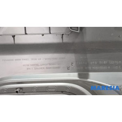 Renault - Trafic - Türverkleidung 2-türig links