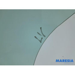 Renault - Master - Türscheibe 2-türig links