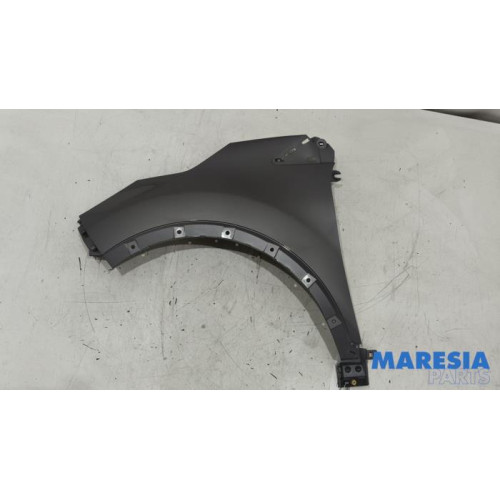 Renault - Captur - Kotflügel links vorne