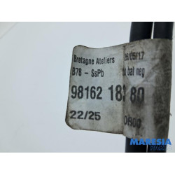 Citroen - C4 Grand Picasso - Accu sensor