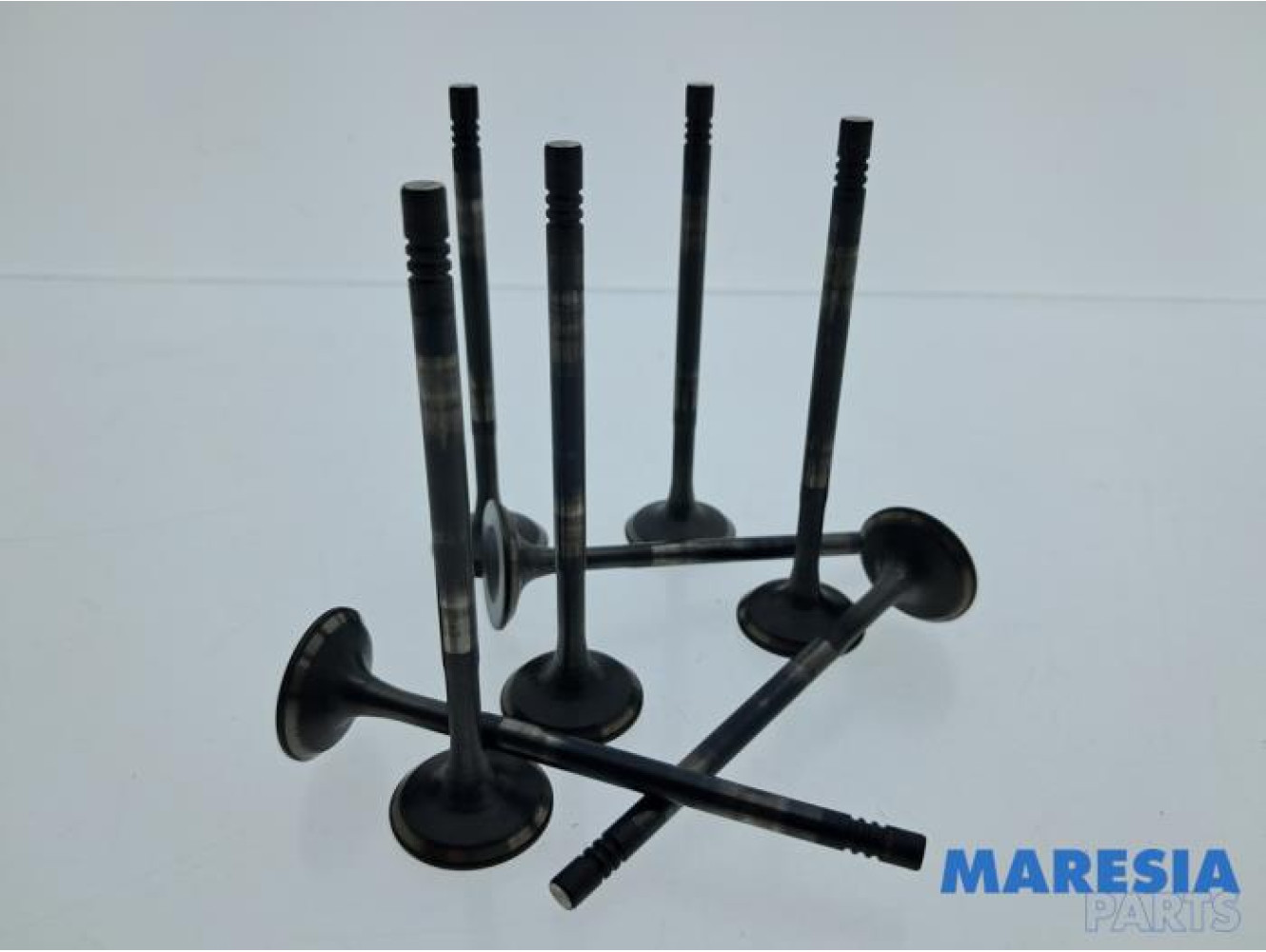 Renault - Captur - Einlassventil