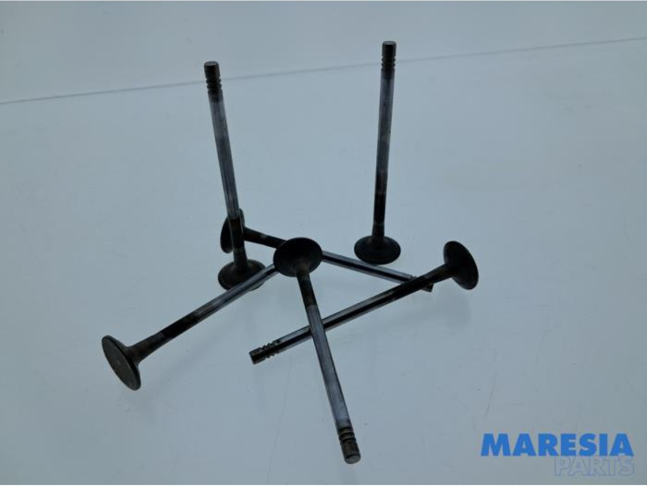 Renault - Captur - Auspuffventil