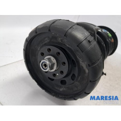 Renault - Trafic - Front shock absorber rod, right