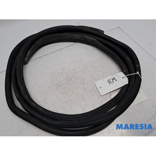 Renault - Trafic - Schuifdeur Rubber rechts