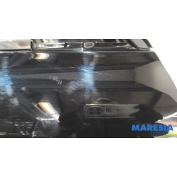 Renault - Arkana - Portier 4Deurs rechts-voor