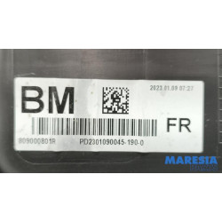 Renault - Arkana - Front door trim 4-door, right