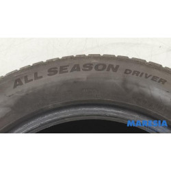 Renault - Captur - Reifen