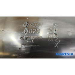 Renault - Arkana - Particulate filter