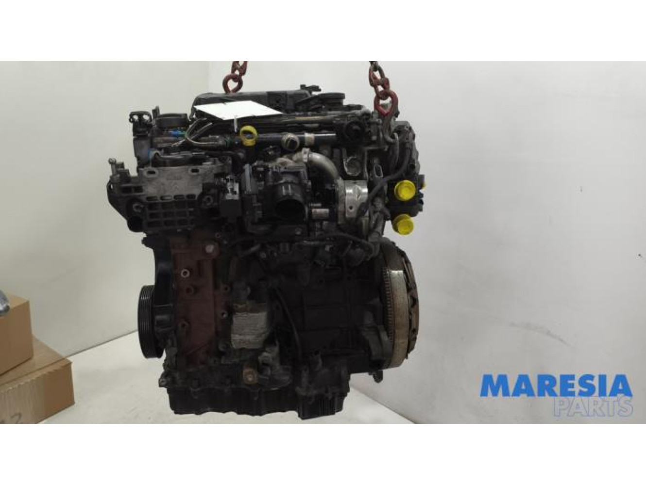 Citroen - Jumpy - Motor