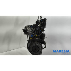 Fiat - Panda - Motor