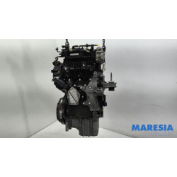 Fiat - Panda - Motor