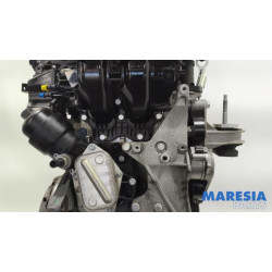 Fiat - Panda - Motor