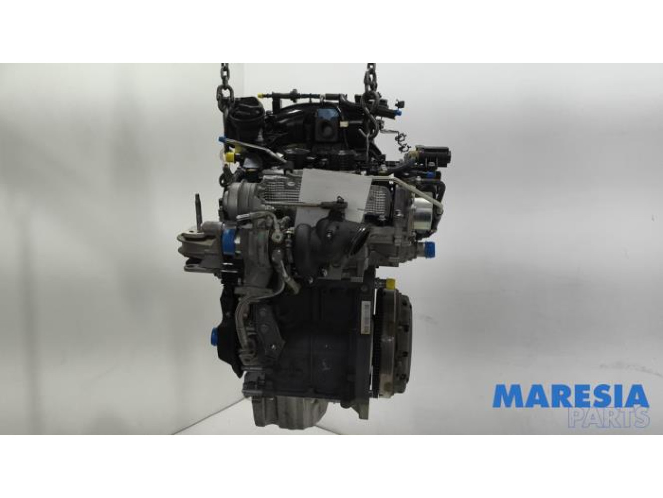Fiat - Panda - Motor
