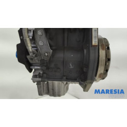 Fiat - Panda - Motor