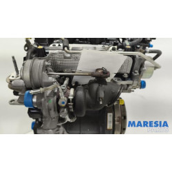 Fiat - Panda - Motor