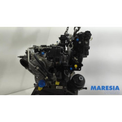 Fiat - Panda - Motor