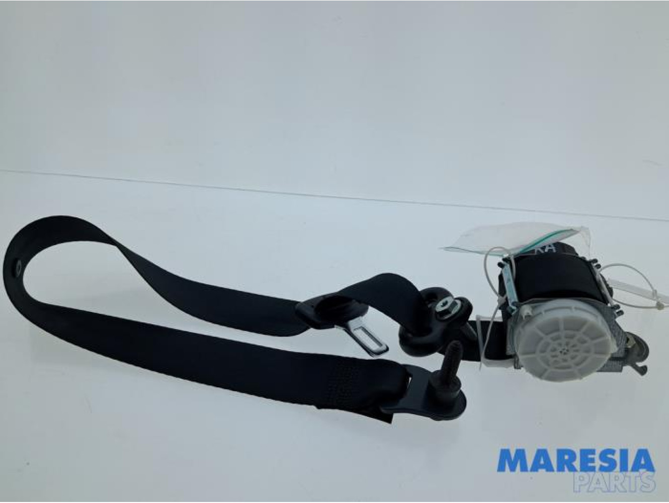 Renault - Twingo - Sicherheitsgurt rechts hinten