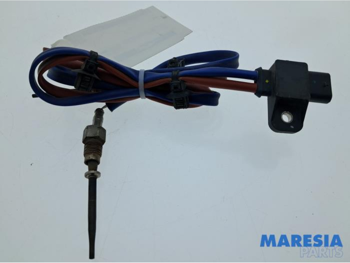 Renault - Trafic - Auspuff Temperatursensor