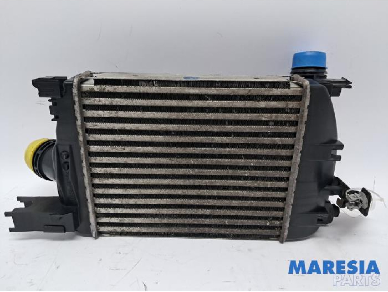 Renault - Captur - Ladeluftkühler