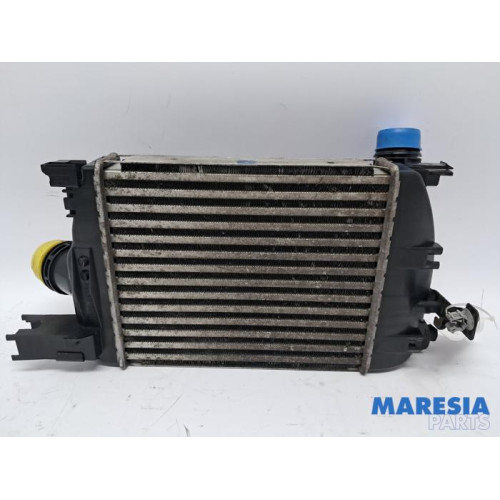 Renault - Captur - Ladeluftkühler