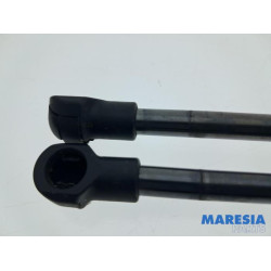 Fiat - Panda - Set of tailgate gas struts