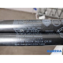Fiat - Panda - Set of tailgate gas struts