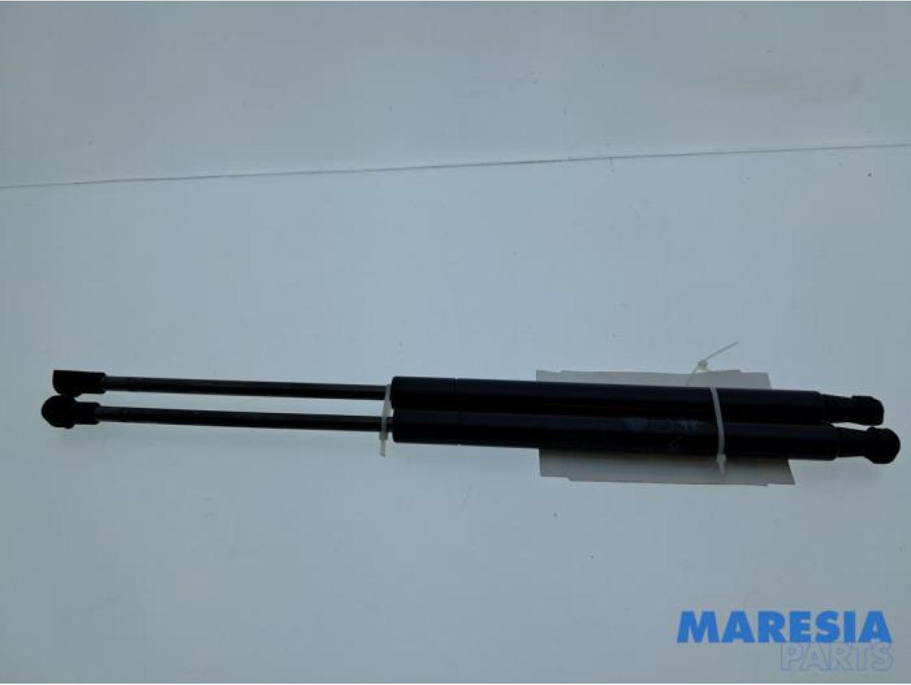 Fiat - Panda - Set of tailgate gas struts