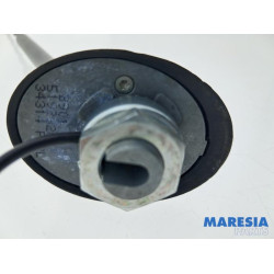 Fiat - Panda - Antenne