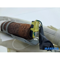 Renault - Arkana - Roof curtain airbag, left