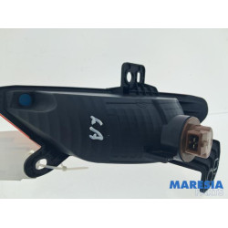 Renault - Arkana - Rear fog light