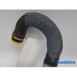 Renault - Arkana - Buis (diversen)
