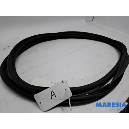 Renault - Arkana - Achterkleprubber