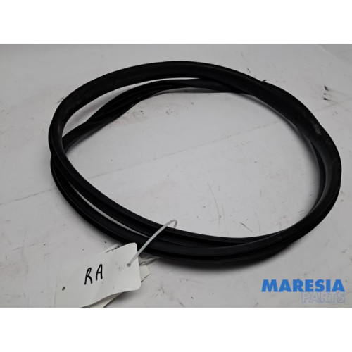 Renault - Arkana - Portierrubber 4Deurs rechts-achter