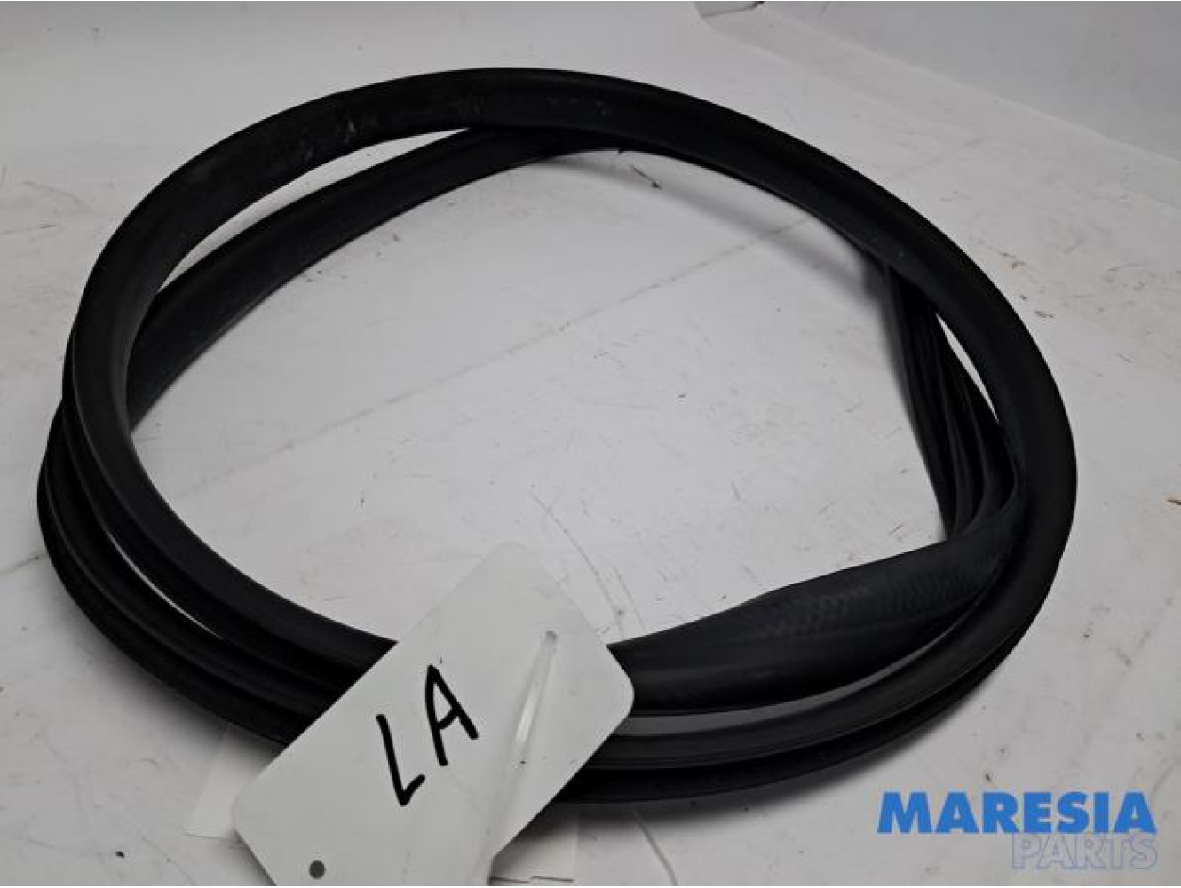 Renault - Arkana - Portierrubber 4Deurs links-achter