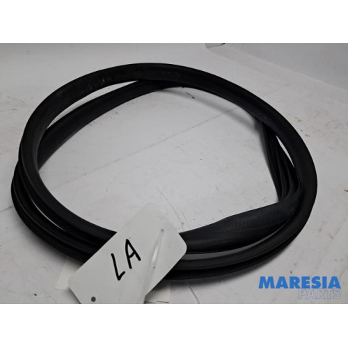 Renault - Arkana - Portierrubber 4Deurs links-achter