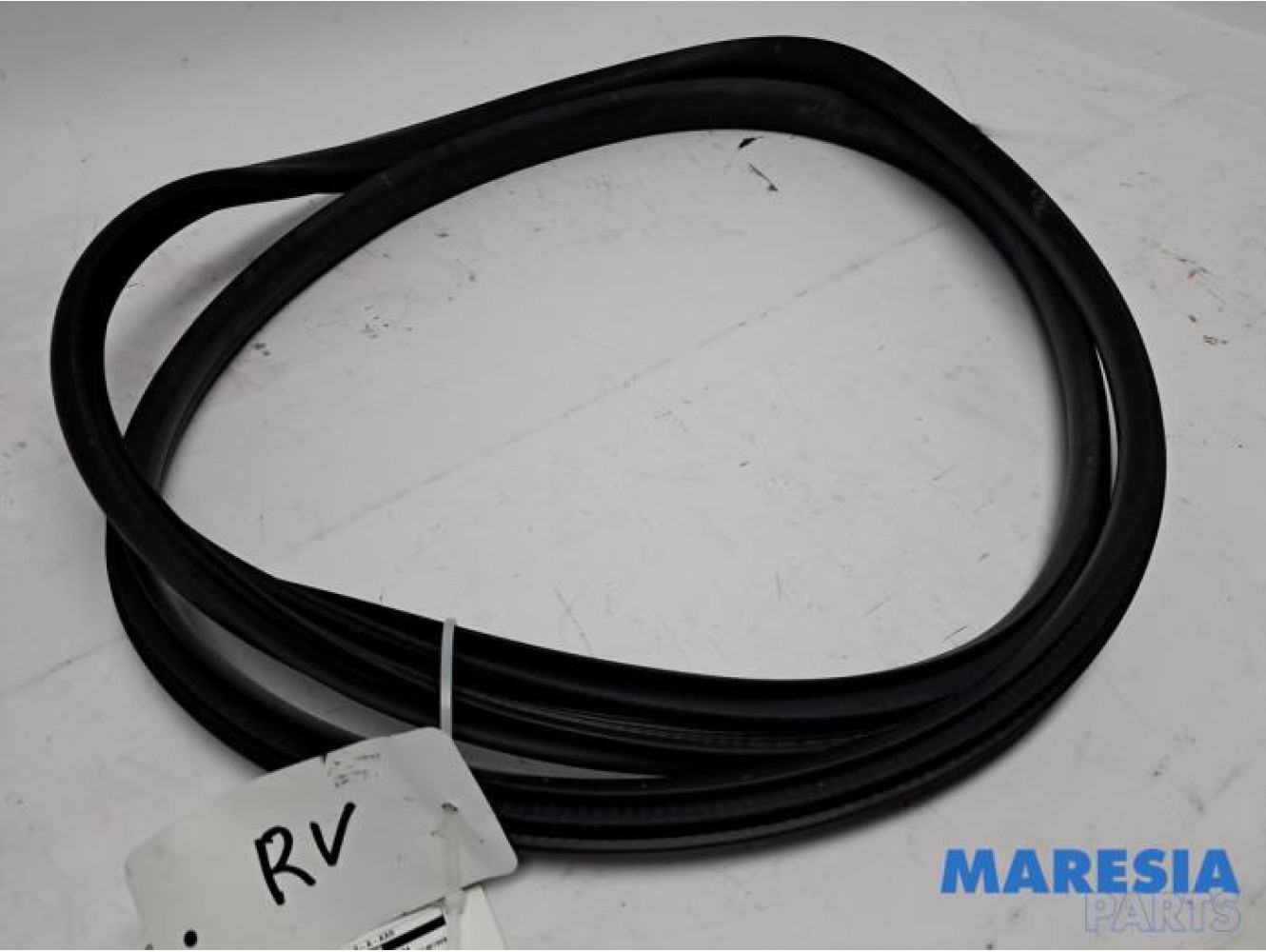 Renault - Arkana - Front door seal 4-door, right