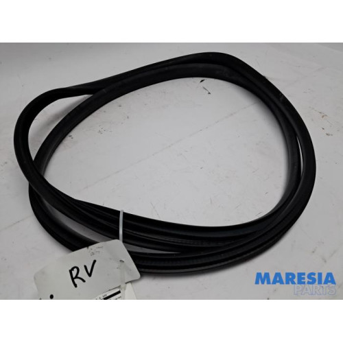 Renault - Arkana - Front door seal 4-door, right