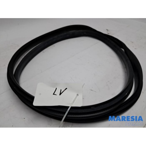 Renault - Arkana - Portierrubber 4Deurs links-voor