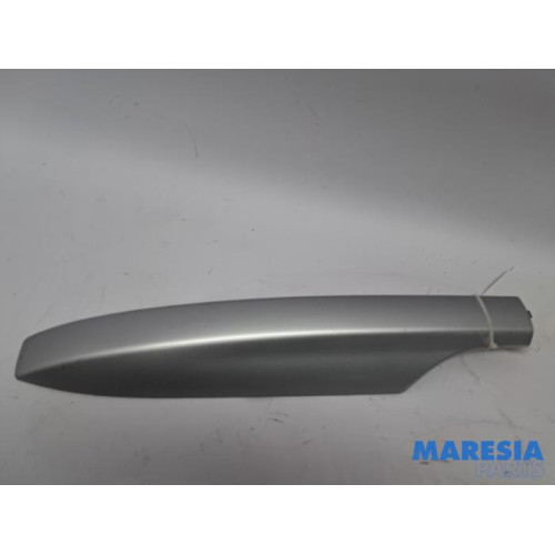 Renault - Megane - Protection rails de toit