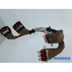 Renault - Arkana - HV kabel (hoog voltage)