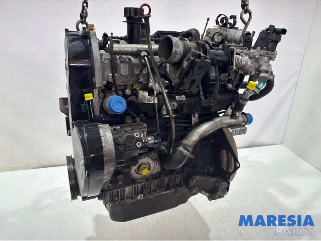 Fiat - Ducato - Motor