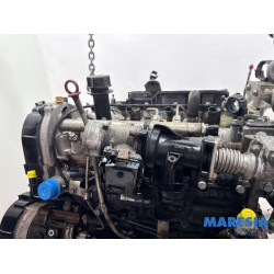 Fiat - Ducato - Motor