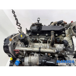Fiat - Ducato - Motor