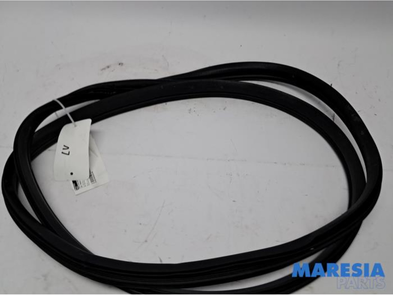 Fiat - Panda - Front door seal 4-door, left
