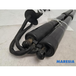 Renault - Espace - Set of tailgate gas struts