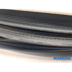 Renault - Espace - Front door seal 4-door, right