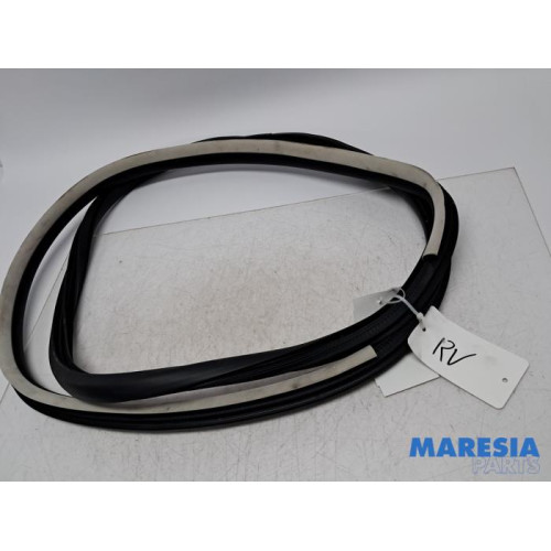 Renault - Espace - Front door seal 4-door, right