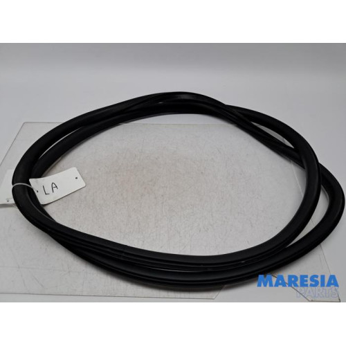 Renault - Espace - Rear door seal 4-door, left