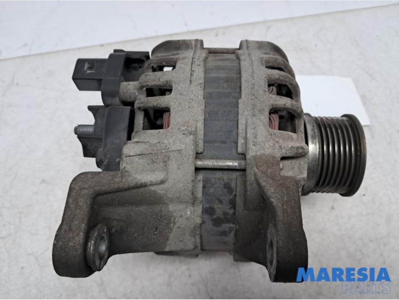 Fiat - Ducato - Dynamo