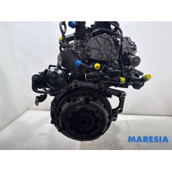 Citroen - Berlingo - Motor